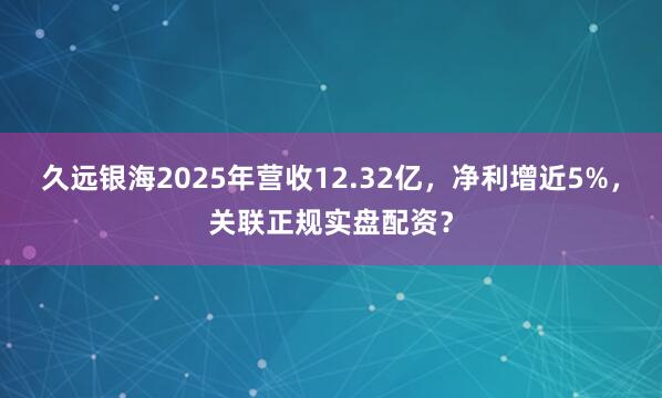 久远银海2025年营收12.32亿，净利增近5%，关联正规实盘配资？