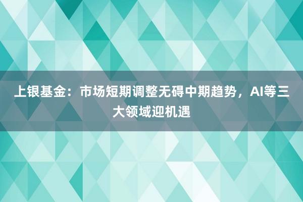 上银基金：市场短期调整无碍中期趋势，AI等三大领域迎机遇